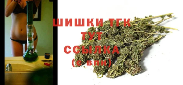 гашик Аркадак