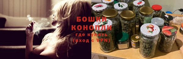 гашик Аркадак