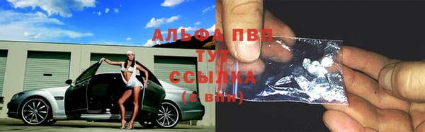 прущие грибы Арсеньев