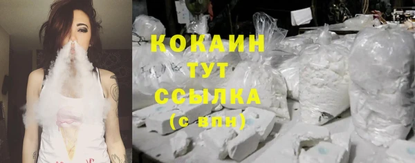 гашик Аркадак