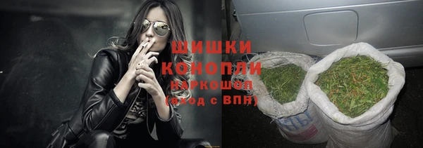 гашик Аркадак