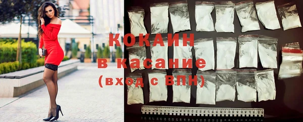 гашик Аркадак