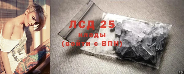 прущие грибы Арсеньев