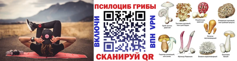 гидра сайт Сосенский Псилоцибиновые грибы Cubensis